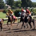 Experience the Thrill of Pleasanton CA Horse Racing
