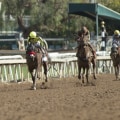 Experience the Thrill of Horse Racing in Pleasanton CA with Safety Measures in Place