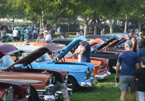 Experience the Thrill of Horse Racing at Pleasanton Racecourse