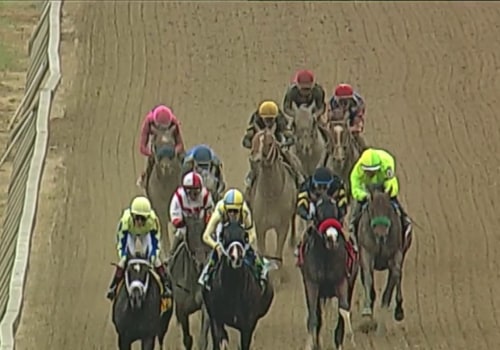 The Thrilling Horse Racing Experience at Pleasanton Racecourse