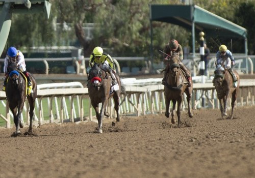 Experience the Thrill of Horse Racing in Pleasanton CA with Safety Measures in Place